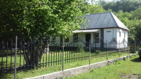 U Reki Guest House
